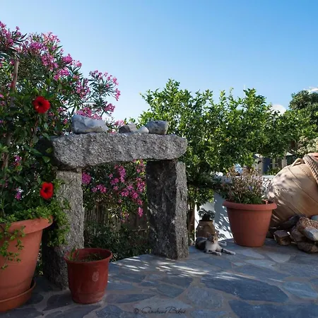 Xydakis Apartamento Mykonos Town